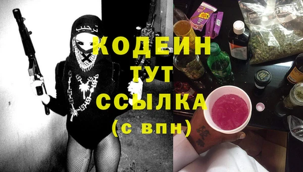шишки Алексин
