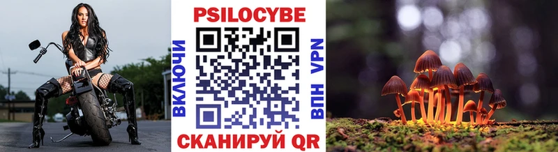 Галлюциногенные грибы Cubensis Балабаново